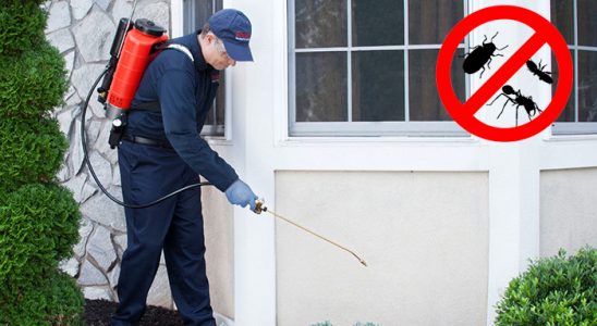 Bozkır Hamam Böceği İlaçlama böcek ilaçlama ve haşere kontrolü — ilaclama-tr.com